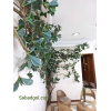 گیاه رونده مصنوعی